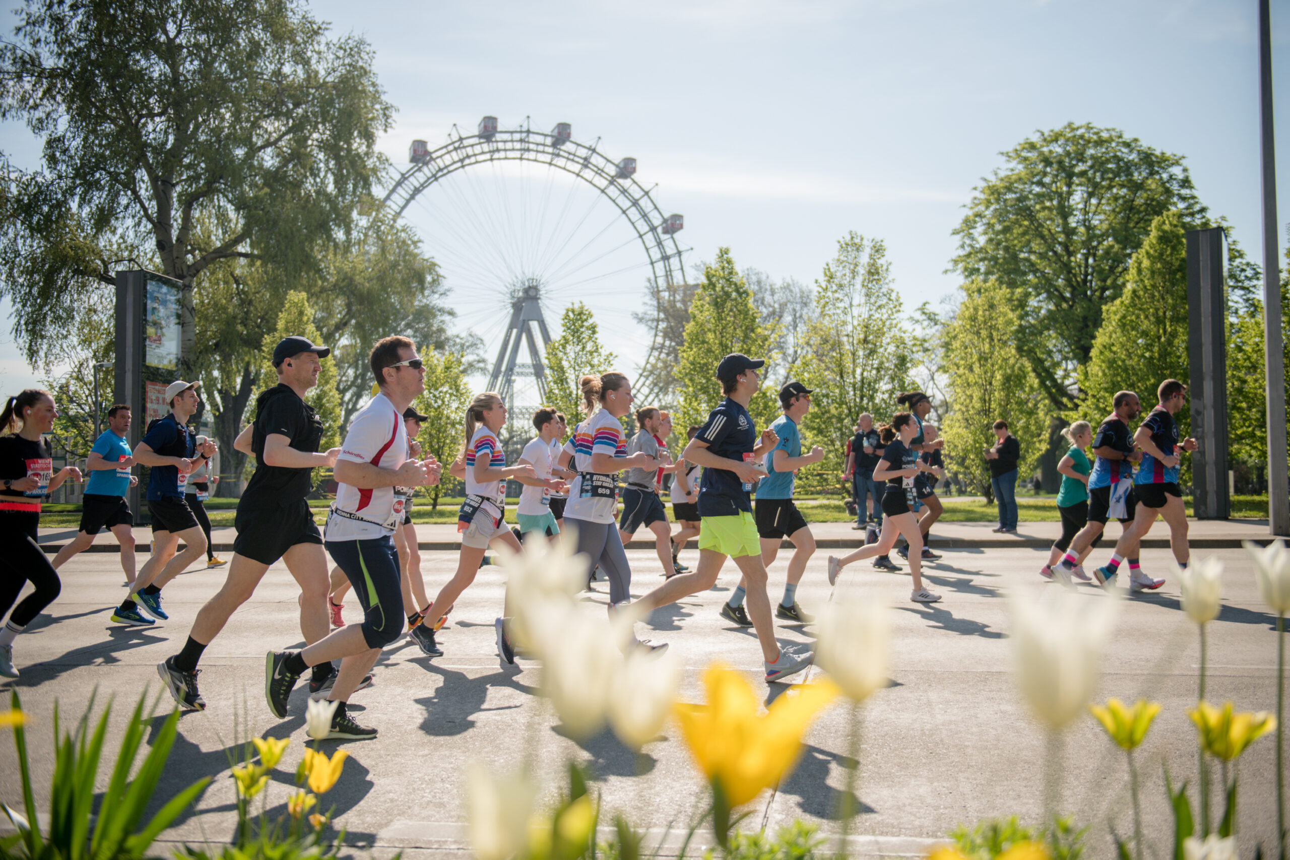 Pollenflug: Wenig Belastung am Marathonwochenende in Wien