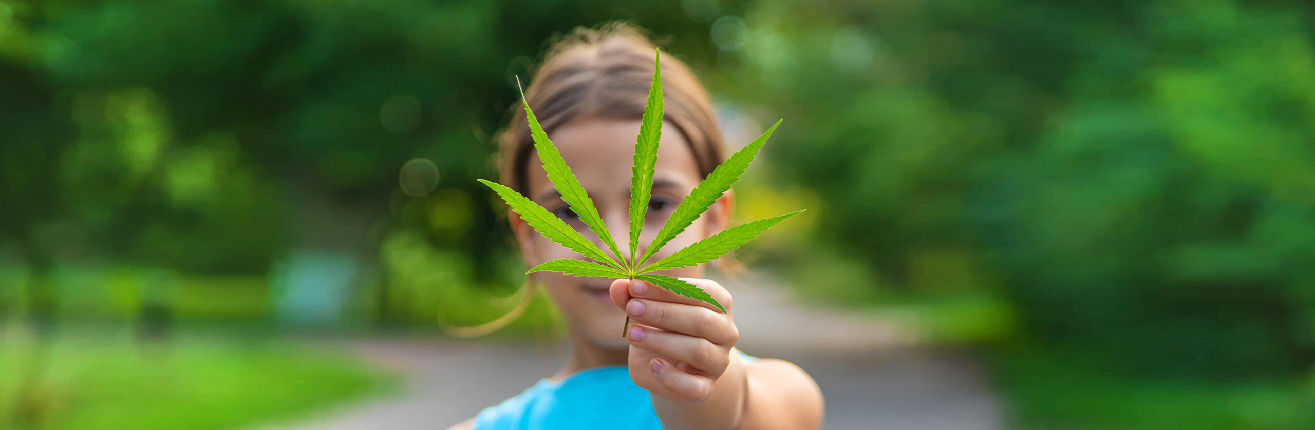 Cannabis für krebskranke Kinder?