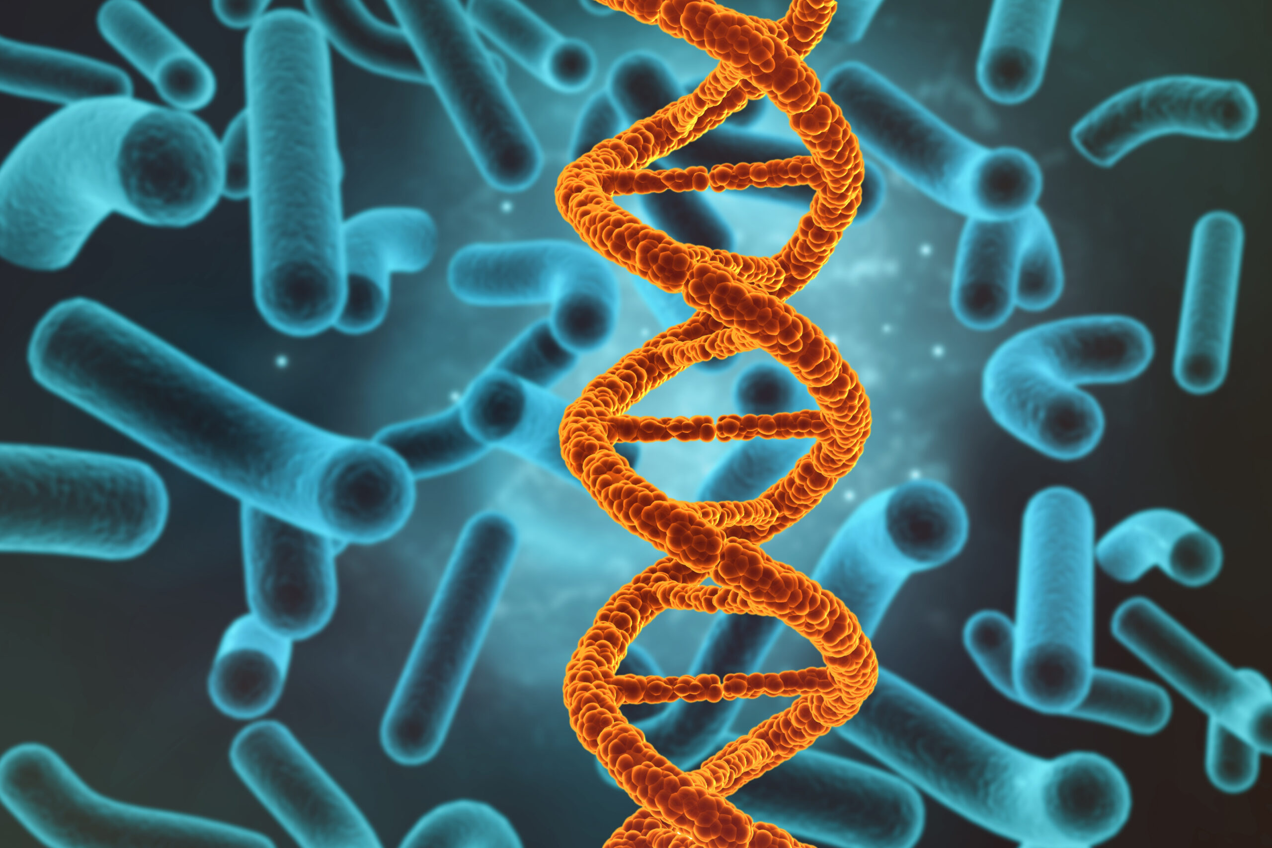 DNA von Borreliose-Bakterien entschlüsselt