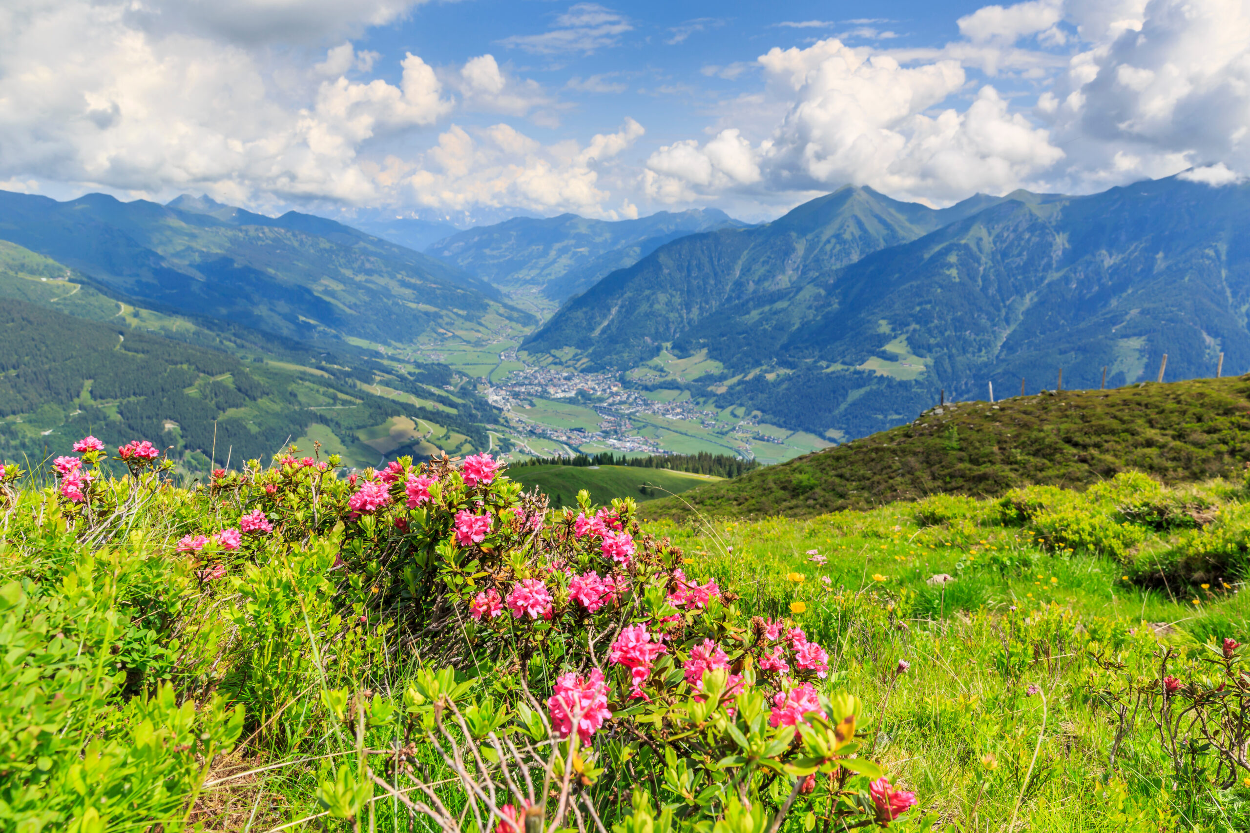 Fachkongress über Heilkräfte von Wald und Wasser