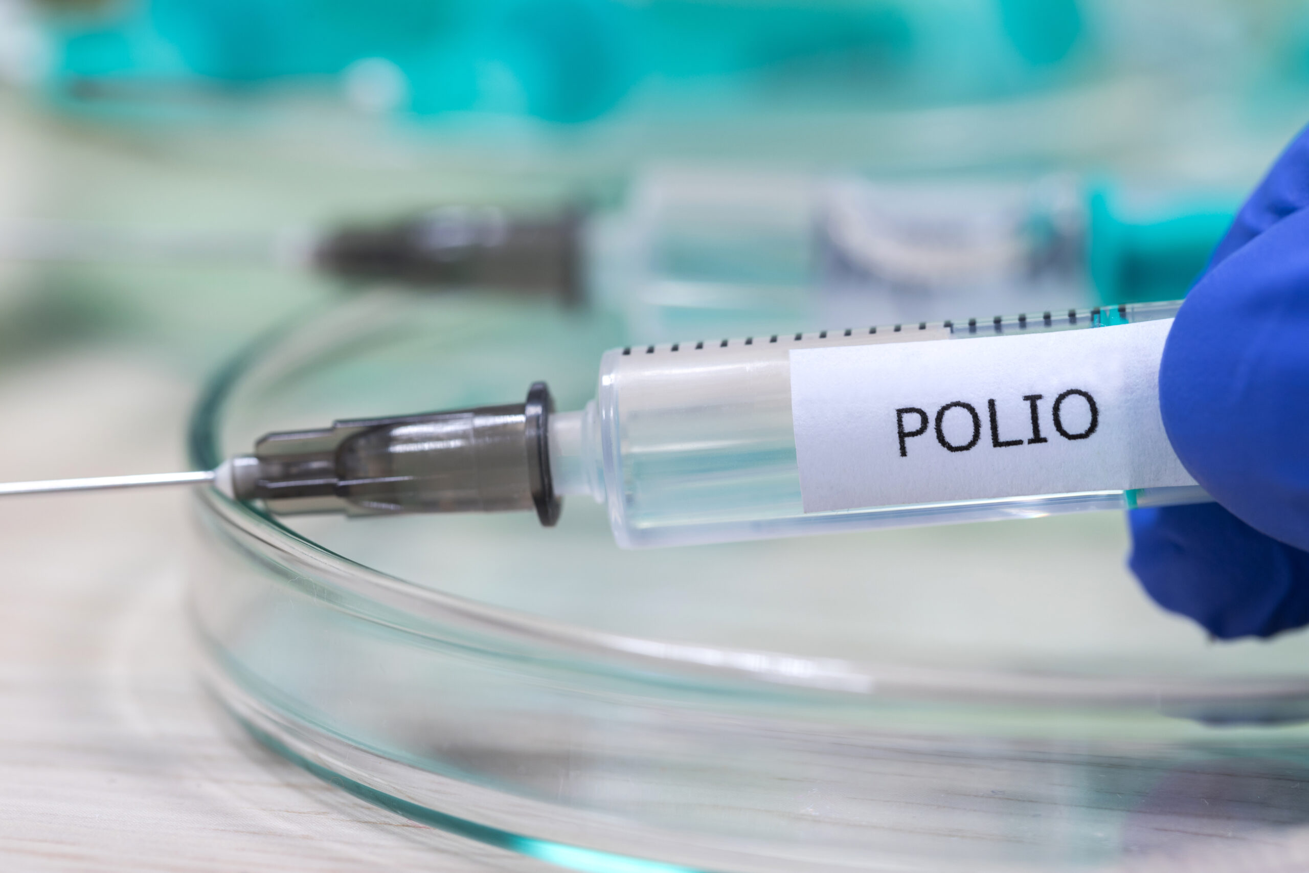 Polio zurück in Europa